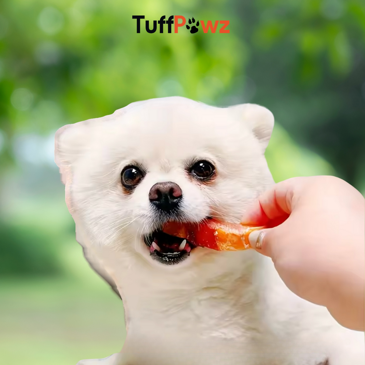 Nutri Poultry & Veg Bites