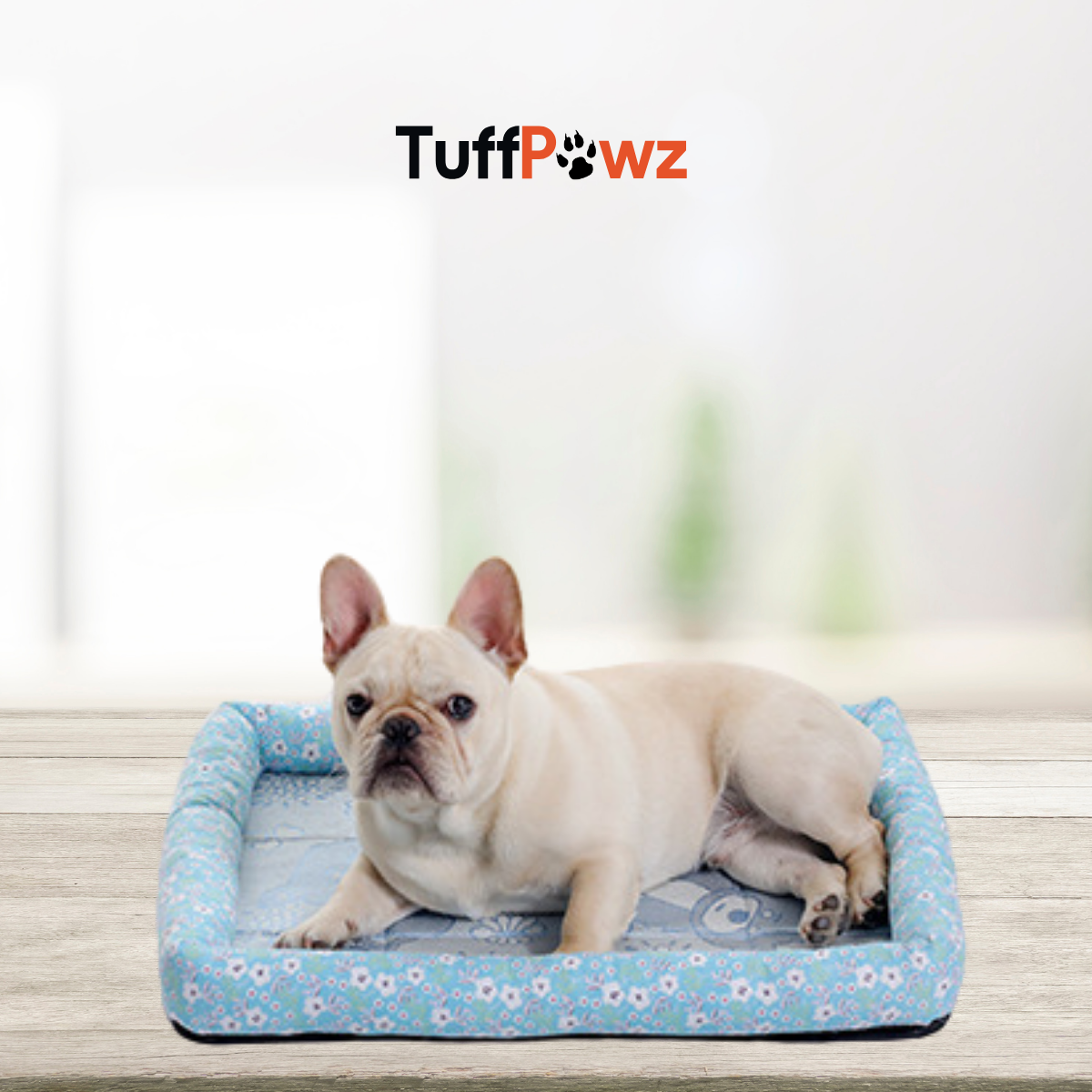 BreezyPawz Silk Mat