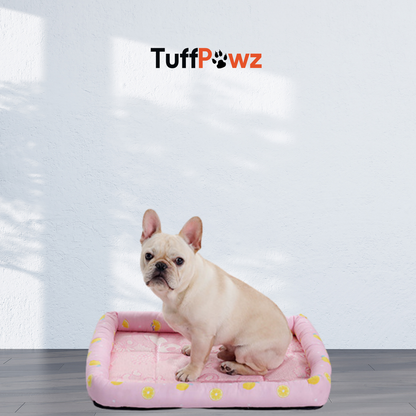 BreezyPawz Silk Mat