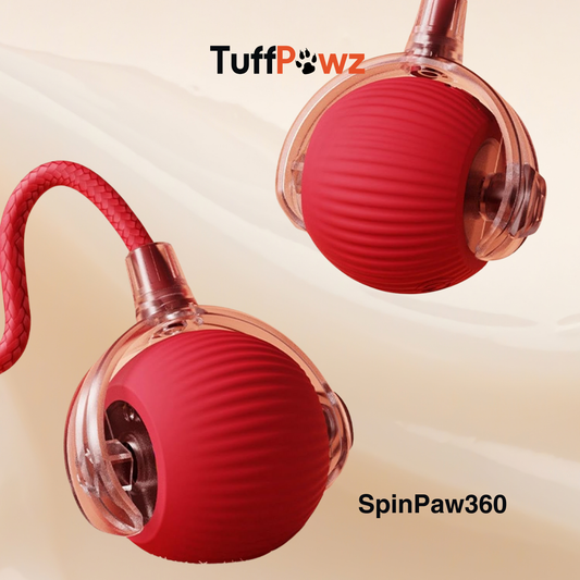 SpinPaw360