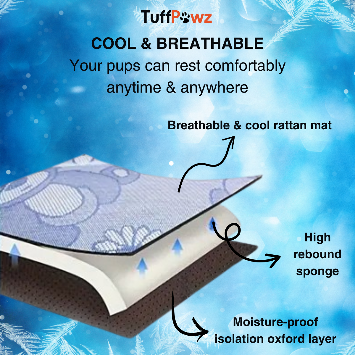 BreezyPawz Silk Mat