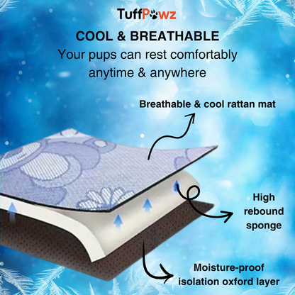 BreezyPawz Silk Mat